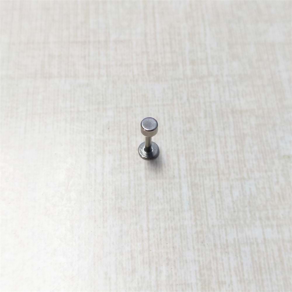 LABRET STEEL DISK 1,2*6*2*3