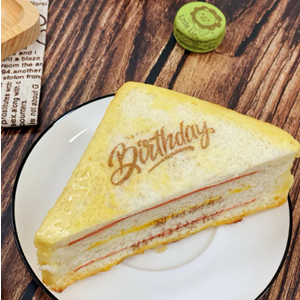 EVEBOT PRINTPEN KALEM EL GIDA YAZICISI