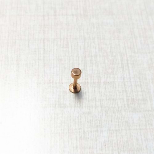 LABRET ROSE DISK 1,2*6*2*3,5