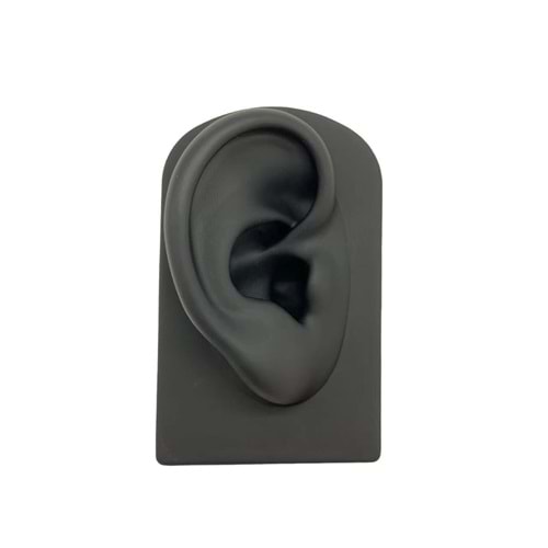 SİLİKON PİERCİNG PRATİK VE SUNUM STANDI KULAK-SİYAH